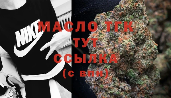хмурый Нея
