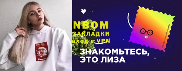 хмурый Нея