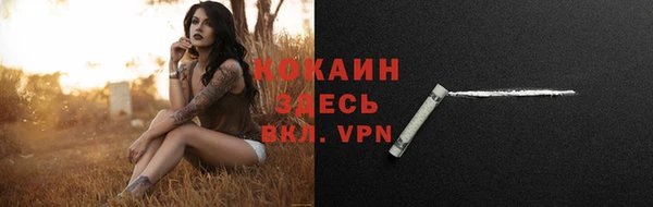 хмурый Нея