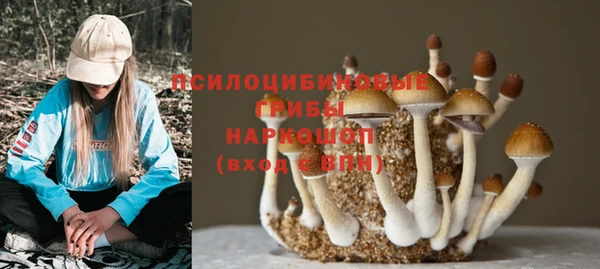хмурый Нея