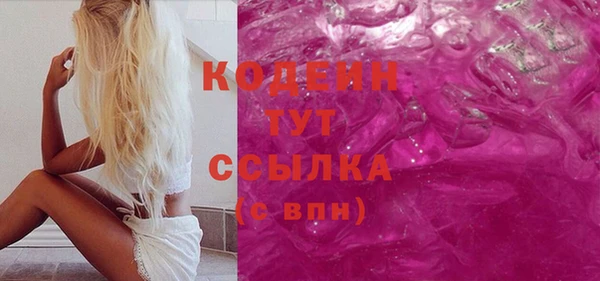 хмурый Нея