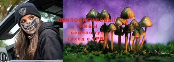 хмурый Нея
