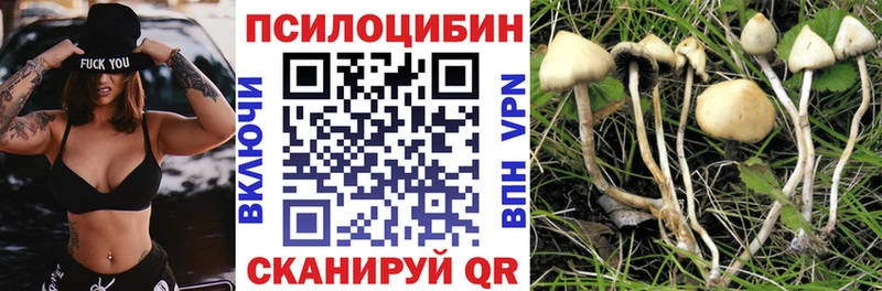Псилоцибиновые грибы GOLDEN TEACHER  Питкяранта 